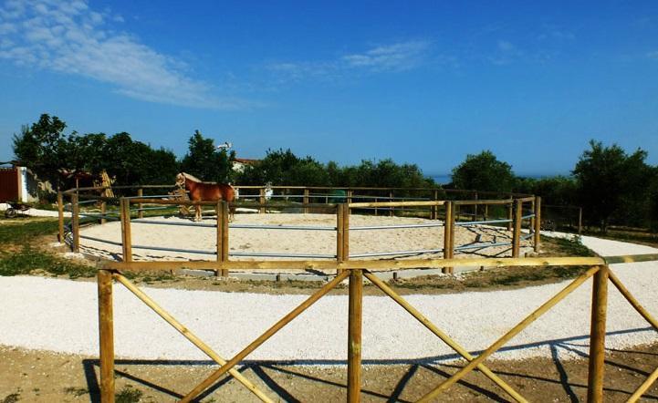 Agriturismo La Casa della Lavanda - Il Rustico Marina di Montemarciano Esterno foto