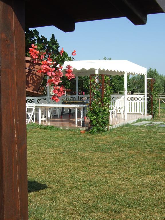 Agriturismo La Casa della Lavanda - Il Rustico Marina di Montemarciano Esterno foto